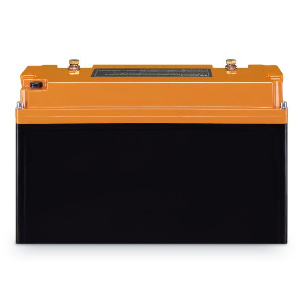 Liontron 150Ah 12V LiFePO4 Lithium Batterie Wohnmobil BMS mit App Arctic - liontron-100ah-12v-lifepo4-lithium-batterie-wohnmo