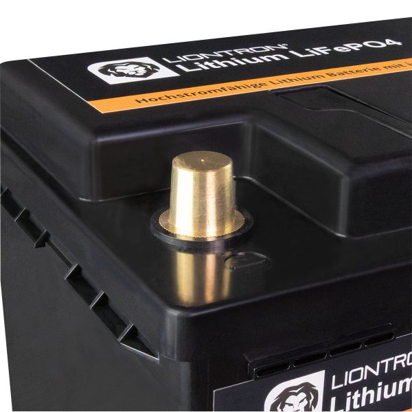 liontron-80ah-12-8v-lifepo4-ltlife1280s-lithium-batterie-23220-4-jpg Liontron 80Ah 12,8V LiFePO4 LTLIFE1280S Lithium Batterie Wohnmobil - liontron-80ah-12-8v-lifepo4-ltlife1280s-lithium-batterie